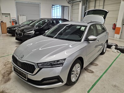 Kaufe SKODA OCTAVIA bei Ayvens Carmarket